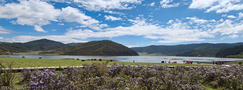 Parco Nazionale di Pudacuo (Yunnan, Cina)